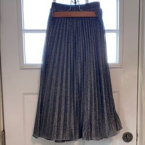 Chelsea 28 Elegant Silver Metallic Pleated Skirt Large